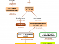 02.-SES-COMPETENCES