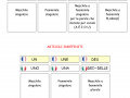 01. GLI ARTICOLI DETERMINATIVI