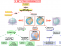 03-il-reticolo-geografico