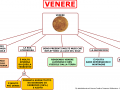 18-venere