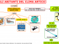 03-ambiente-artico-fauna