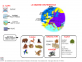 la-regione-continentale