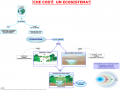 03-casa-e-un-ecosistema