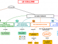 11. LE COLLINE