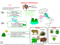 la-regione-appenninica