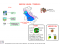 la-regione-tirrenica