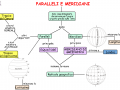 13. Paralleli e meridiani mappa semplificata