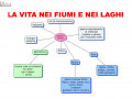 la-vita-nei-fiumi-e-nei-laghi