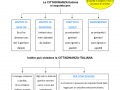 07.-IL-DIRITTO-DI-CITTADINANZA