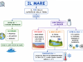 11.-IL-MARE