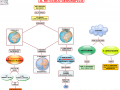 04.-IL-RETICOLO-GEOGRAFICO-2