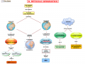 01.-IL-RETICOLO-GEOGRAFICO
