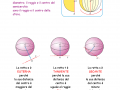 26-la-sfera-e-la-retta