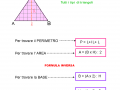 Area e il perimetro di un triangolo 2