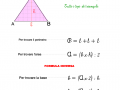 area-e-il-perimetro-di-un-triangolo