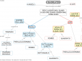 07. Schema classificazione quadrilateri