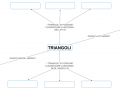 11. SCHEMA VUOTO CLASSIFICAZIONE TRIANGOLI