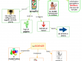 26-scrittura-scienze-egizi