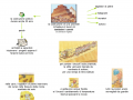 la-costruzione-delle-piramidi