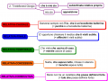 21. Relativa impropria