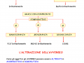 i-gradi-e-lalterazione-dellavverbio