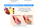 03.-LE-CARDIOPATIE-ISCHEMICHE