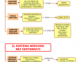 01.-IL-SISTEMA-NERVOSO-NEGLI-INVERTEBRATI-E-NEI-VERTEBRATI