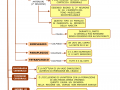 08.-MALATTIE-DEL-SISTEMA-NERVOSO