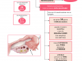 10.-IL-CICLO-MESTRUALE