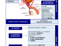 15.-GHIANDOLE-E-ORGANI-ANNESSI