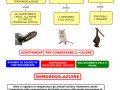01.-LA-TERMOREGOLAZIONE-E-OSMOREGOLAZIONE