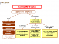 03.-LE-BIOMOLECOLE