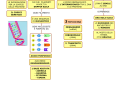 07.-GLI-ACIDI-NUCLEICI-DNA-RNA