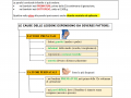 07.-PARALISI-CEREBRALI-INFANTILI