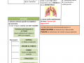 03.-TUMORE-AL-POLMONE