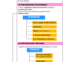 06.-TUMORE-DEL-COLON-E-DEL-RETTO-PREVENZIONE-DIAGNOSI-TERAPIA