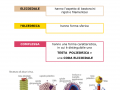 02.-LE-DIVERSE-FORME-DEI-VIRUS