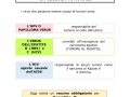 04.-VIRUS-ONCOGENI