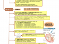 03.-ECOGRAFIA-E-AMNIOCENTESI