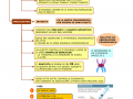 08.-ECOGRAFIA-E-AMNIOCENTESI