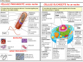 02.-CELLULA-EUCARIOTA-E-PROCARIOTA