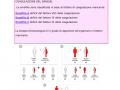 08.-MALATTIE-CROMOSOMICHE-RECESSIVE-EMOFILIA