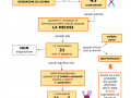 12.-SINDROME-DI-DOWN-O-TRISOMIA-21