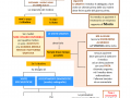 05.-IL-MEDICO-DI-BASE-E-VISITE-SPECIALISTICHE