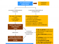 14.-VALUTAZIONE-GERIATRICA