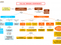 05.-CELLULE-IMMUNO-COMPONENTI