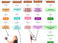 04.-I-muscoli-e-il-movimento