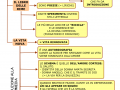 03.-OPERE-PRINCIPALI-1-parte