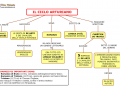 07.-IL-CICLO-ARTURIANO