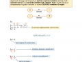 09.-EQUAZIONI-DI-1-GRADO-LEGGE-DEL-TRASPORTO-